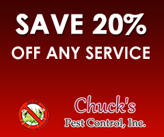 Save 20% Off Any Service