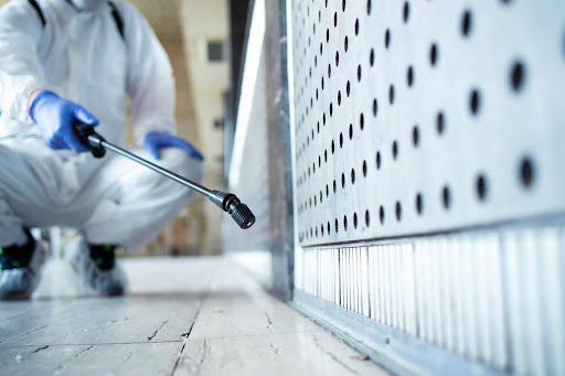 Ant Pest Control in Queens NY